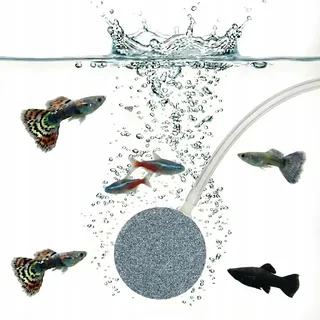 Aquarium Deko Steine Luftstein 4 cm für 4/6 mm Schlauch, Grau