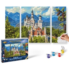 Bild Arts & Crafts Malen nach Zahlen Schloss Neuschwanstein (609260837)