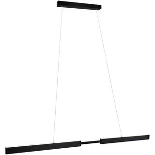 Paulmann Aptare 1-flg. 18 W 60 cm rund schwarz Metall