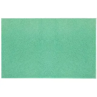 VIGAR Teppich, türkis, 47 X 0,5 X 30 cm