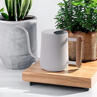 IMEEA 1L Gießkanne Zimmerpflanzen Gießkanne Klein Indoor Gießkanne Edelstahl Moderner Deko Giesskanne mit Langem Auslauf für Pflanze Blumen Bonsai Outdoor Garten (Weiß)