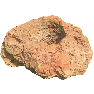 Dehner Lavastein zur Bepflanzung von Sukkulenten etc., ca. 38 x 20 x 35 cm, naturfarben