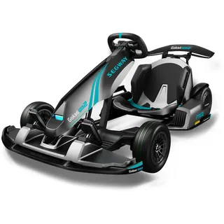 Segway Gokart PRO 2 grau (NINEBOT)