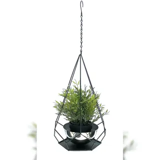 DanDiBo Ambiente DanDiBo Blumenampel Innen Metall Wand Hängepflanzen 59 cm 96095 S mit Topf 6 Ecken Pflanzenhänger Blumenhänger Topfhänger Blumen Blumentopfhänger
