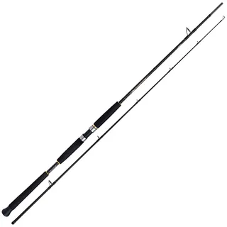 Shimano Fishing Shimano Beastmaster Ax Pilk 2,40m 100-200g 2pc Pilkrute