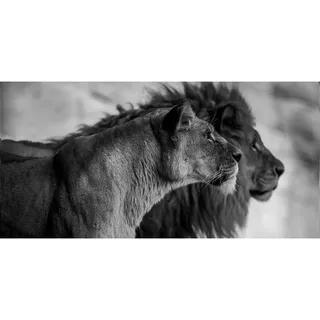 Aluminiumbild , Schwarz, Weiß , Metall, Kunststoff , 98x48 cm , einfache und schnelle Anbringung , Bilder & Rahmen, Bilder, Aluminium-Bilder