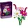 Botanicals Kosmeen 11514