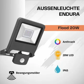 LEDVANCE Endura Flood Sensor 20 W 239500