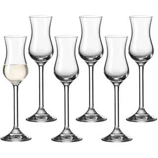 LEONARDO Schnapsglas Grappaglas 0,1 l 6-tlg.