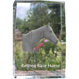 Rennpferd im Ruhestand - Kristall mit einem Pferdebild, Bild im Glas, moderne Ausstellung des Art-Dog-Bildes.