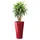 Delta Premium 40 40 x 40 x 75 cm Scarlet Rot