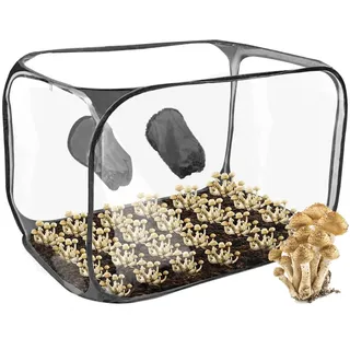 Pilzzuchtzelt, 90 * 60 * 60 cm Pilzzuchtset Zelt Faltbare Still Air Box Mycology Pilzzucht Box Champion Pilze Selber Züchten Pilze Züchten Set, Gartenbauzubehör für Pilzexperimente (Schwarz)