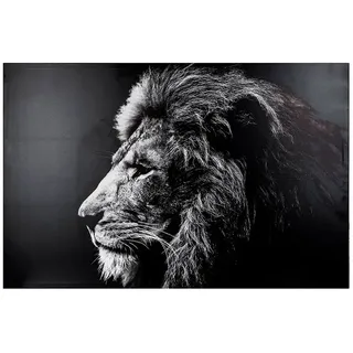 Atmosphera Löwen Dekorationsbild 118x78 Cm - Black / White - One Size