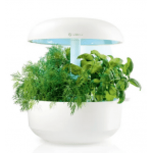Bosch Smart Indoor Gardening SmartGrow 3 inkl. Samenkapselmix um 79 € statt 159 €