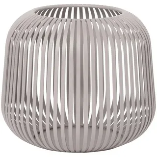 Lito mourning dove S