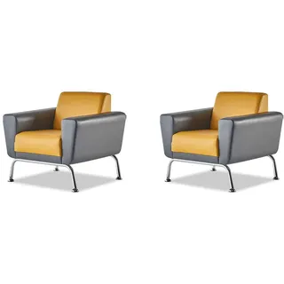 Sitzmöbel-Set Leder Lehnsessel Grau Gelb Edelstahl Sessel Modern Holz - Gelb