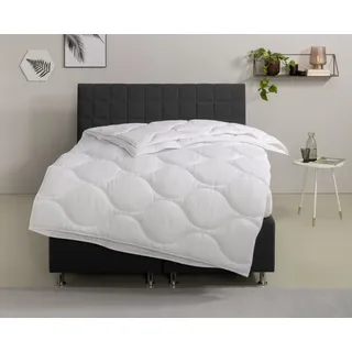Home Affaire Microfaserbettdecke »Angly, Bettdecke 135x200 cm und 155x220 cm« 4-Jahreszeiten Füllung Polyester Bezug Polyester 1 Stk. tlg. Bettdecken, Sommer, Winter, Decke, Allergiker geeignet (Hausstaub), weiß