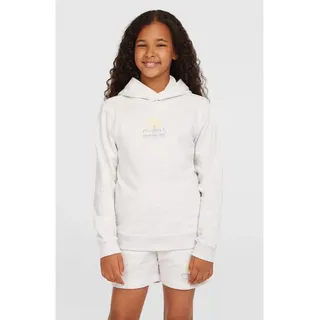O'Neill O'neill Back Print Hoodie white melange (11012) 176