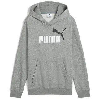 Puma Hoodie Grey 140