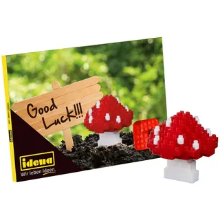 IDENA 40156 - Postkarte Glückspilz mit einem 3D Modellbauset mit 79 Original Brixies Minibausteinen, Schwierigkeitsgrad 1, Grußkarte oder Mitbringsel für Kinder und Erwachsene