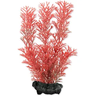 Deko Tetra Pflanze Foxtail Red S 15cm