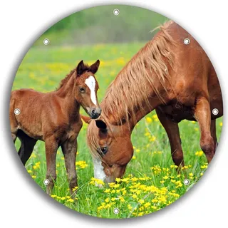 Wallario rundes Outdoor-Poster für Garten oder Balkon, Motiv Pferde auf der Koppel, 30 cm Durchmesser - Grün