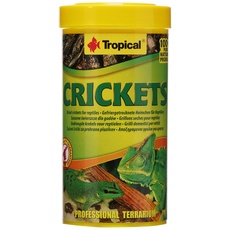 Tropical Tadeusz Ogrodnik Crickets gr.25/ml.250