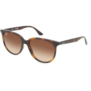 Ray Ban Ray-Ban RB4378 54mm polished havana/brown (RB4378-710/13)