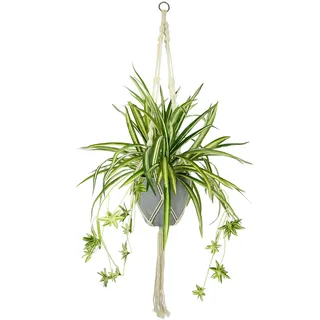 I.GE.A. Künstliche Wasserlilie im Kunststofftopf, mit Hängeampel