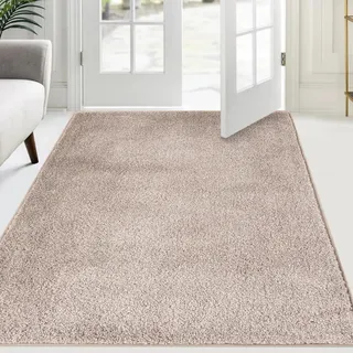 FCSDETAIL Schmutzfangmatte Innen 120 x 180 cm, rutschfeste Sauberlaufmatte, Eingangstürmatte mit Wasserabsorbierenden, Fussmatte Waschbarer Teppich Wohnzimmer Schlafzimmer