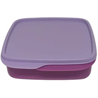 Tupperware to Go Lunchbox Clevere Pause 550 ml Brotdose mit Trennwand Eco+ Schule (violett)