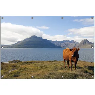 Wallario Outdoor-Poster für Garten oder Balkon, Motiv Kuh in den Bergen, in ca. 100 x 150 cm - Blau