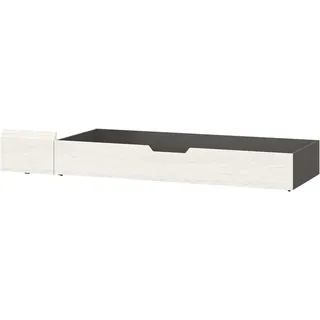 set one by Musterring Stauraumbett »York Schlafen« 1 Stk. tlg. Bettkasten für viel Stauraum, B 65 x T 200 cm, zwei Farbvarianten, grau