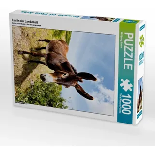 CALVENDO Puzzle Esel in der Landschaft 1000 Teile Puzzle hoch | Lege-Größe cm Foto-Puzzle für glückliche Stunden