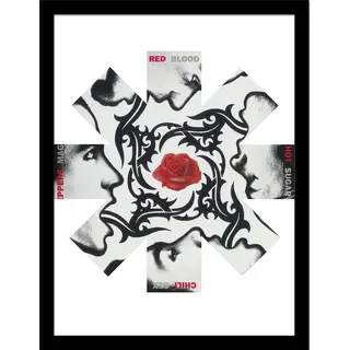 Pyramid International Red Hot Chili Peppers (Rose) Sammlerdruck – 30 cm x 40 cm Wandkunst-Poster – Offiziell lizenziertes Musikdekor – Einheitsgröße