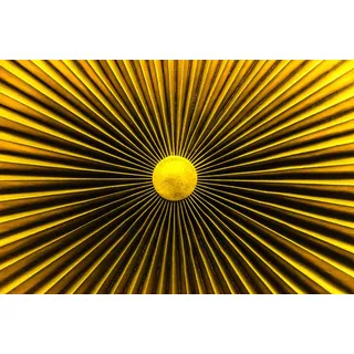 Papermoon Fototapete »Abstrakt«, bunt