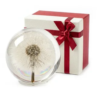 Echte Pusteblume in Kristallglas – Wunscherfüller Briefbeschwerer, 80 mm