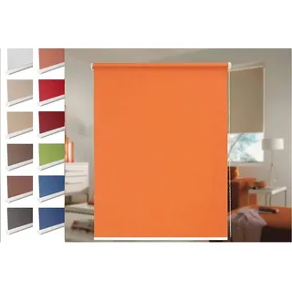 SUNLINES Seitenzugrollo One size Style uni 162 x 180 cm grün