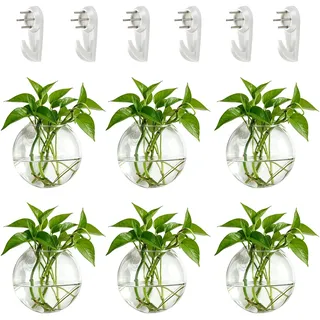 NUPTIO Wandvase für Pflanzen Innen Glas: Blumen Wandbehang Glasvase für Wohnzimmer Wand Deko - Wasser Hängetöpfe Vasen Luft Blumenvase Terrarien für Raum Dekoration 6er-Set