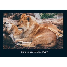 Tiere in der Wildnis 2024 Fotokalender DIN A4
