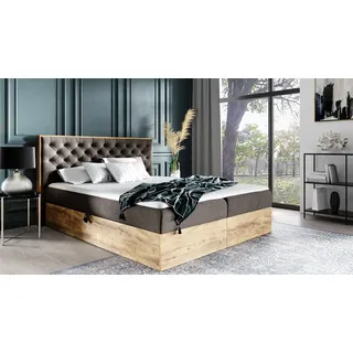 Boxspringbett Schlafzimmerbett DIONA 200x200cm Stoff Braun inkl. Bettkasten - Braun