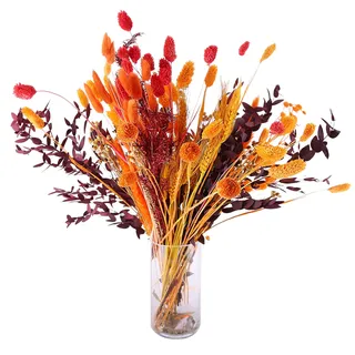 LICHENGTAI Pampasgras Trockenblumen Deko Getrocknete Pampasgras-Dekoration Flauschige und Schwungvolle Getrocknete Blumen Getrocknete Blumenarrangements für Zuhause, Hochzeit, Tischdekoration