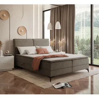 VIOLETT Boxspringbett mit Bonellmatratze und mit Topper Monolith 20 140x200 cm