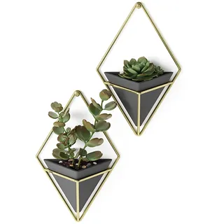 Umbra Trigg Wandvase & Geometrische Deko - Übertopf Für Zimmerpflanzen, Sukkulenten, Luftpflanzen, Kakteen, Kunstpflanzen und Mehr, Schwarz/Messing, 2er-Set, Klein