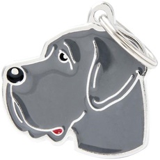 MyFamily New Blue great Dane dog tag