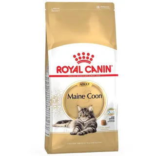 Adult Maine Coon 2 kg