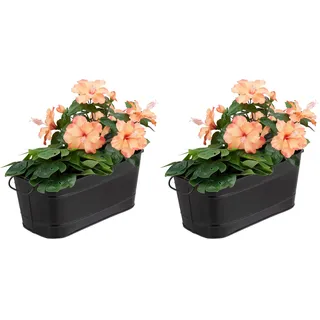 Relaxdays Blumenkasten, für Garten, Balkon, Fensterbank, zum Bepflanzen, Vintage-Optik, Metall, HBT 16x38x19 cm, schwarz (Packung mit 2)