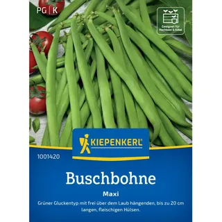 Kiepenkerl Buschbohnen Maxi