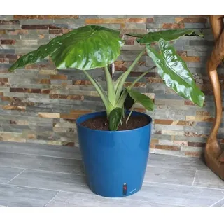 Blumentopf RIVIERA EVA NEW, Rund, Kunststoff, D30 x H27,5 cm, Blau