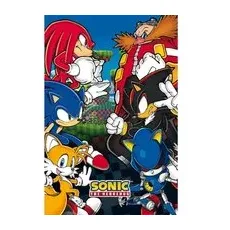 Sonic The Hedgehog  Team Sonic  Poster  multicolor